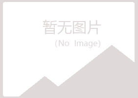 铁岭县歪斜咨询有限公司